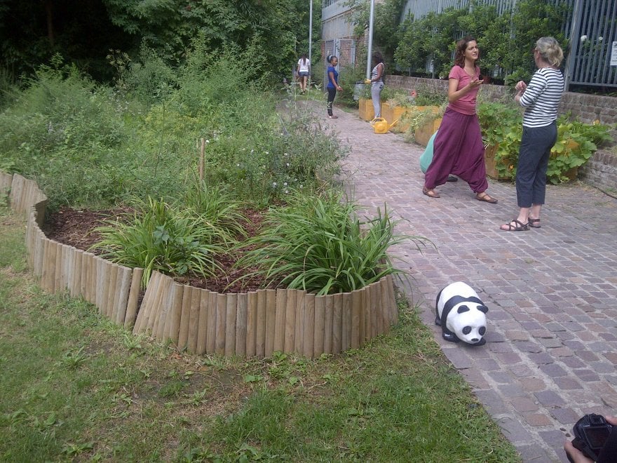 Urban Nature: alla scoperta della biodiversità nelle metropoli