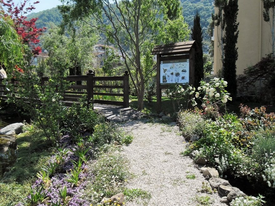 Urban Nature: alla scoperta della biodiversità nelle metropoli
