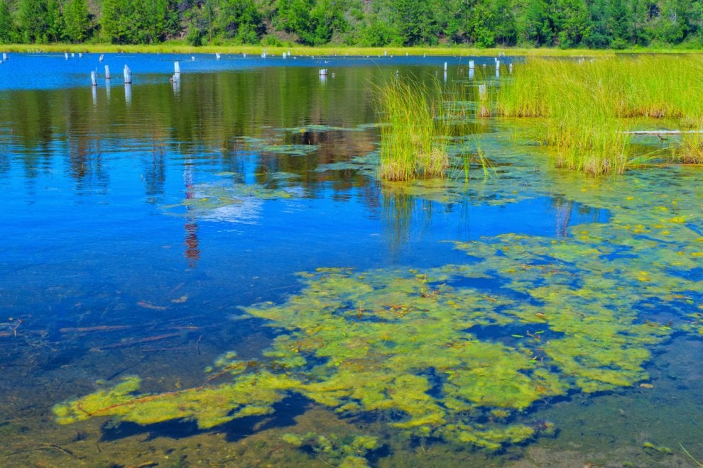 ''Così stiamo uccidendo il lago Baikal"