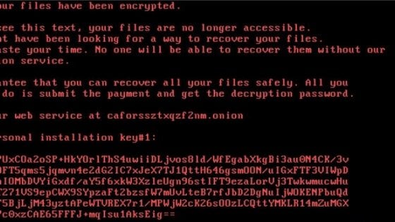 Bad Rabbit, nuova minaccia: blocca i dati del pc. Colpite 200 organizzazioni, soprattutto in Russia e Ucraina