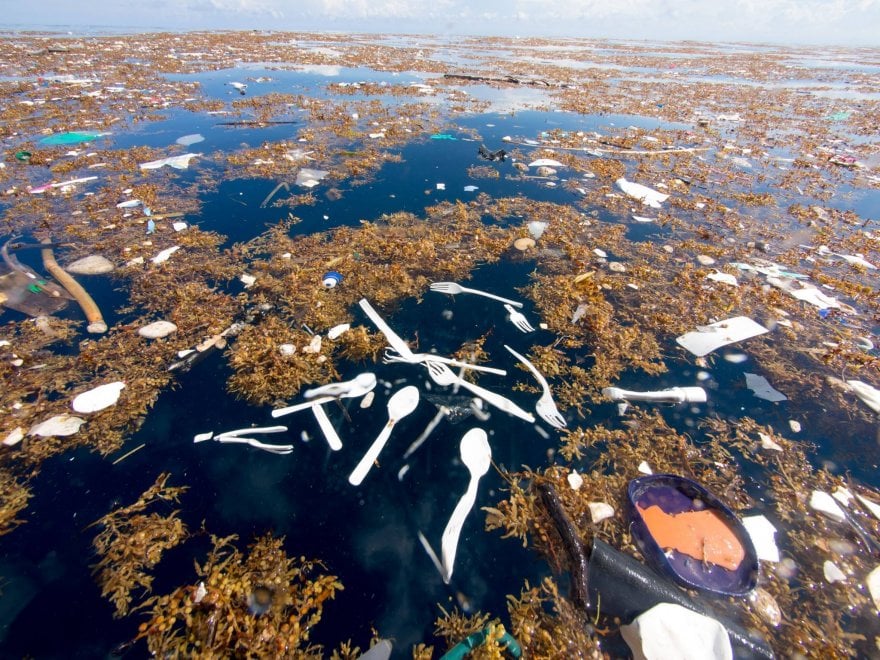 L'isola di plastica che minaccia i Caraibi: le immagini denuncia