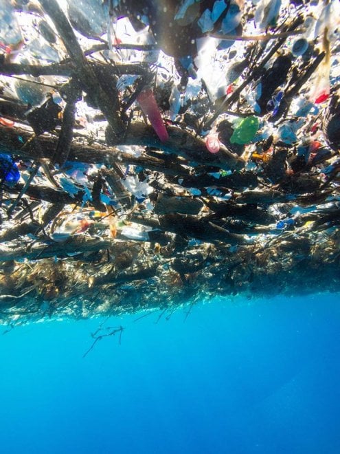 L'isola di plastica che minaccia i Caraibi: le immagini denuncia