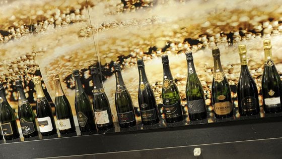 Alcune delle bottiglie degustate