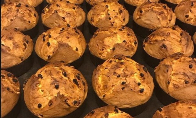 La carica dei panettoni: in pasticceria o dallo chef, classici o moderni ecco i 25 che abbiamo assaggiato
