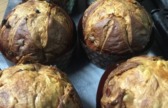La carica dei panettoni: in pasticceria o dallo chef, classici o moderni ecco i 25 che abbiamo assaggiato