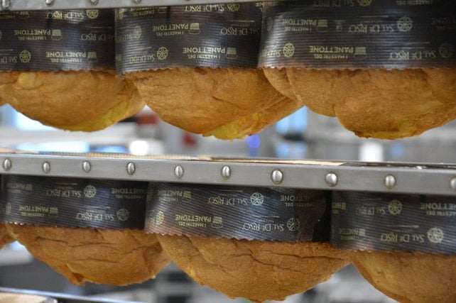 La carica dei panettoni: in pasticceria o dallo chef, classici o moderni ecco i 25 che abbiamo assaggiato
