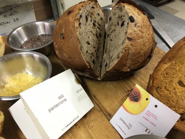 La carica dei panettoni: in pasticceria o dallo chef, classici o moderni ecco i 25 che abbiamo assaggiato