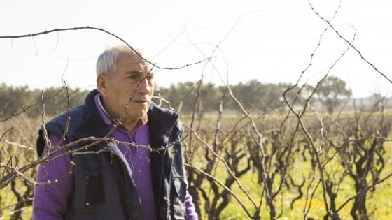 Natalino Del Prete, le mani sporche di terra e la testa piena di sogni