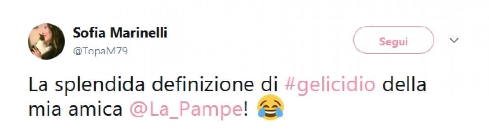 ''Gelicidio, ma cos'è?'', ironia su Twitter