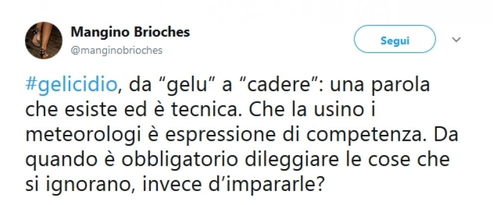 ''Gelicidio, ma cos'è?'', ironia su Twitter