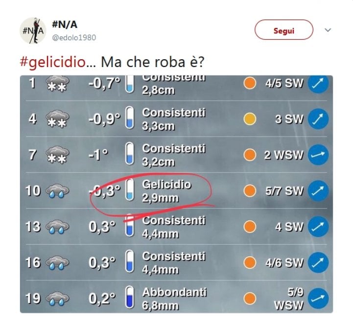 ''Gelicidio, ma cos'è?'', ironia su Twitter