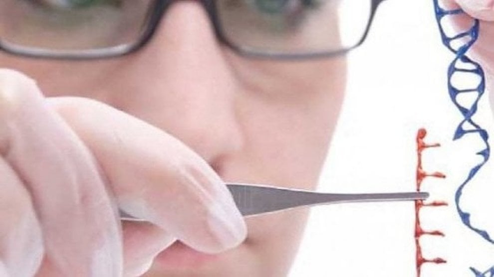 Ecco le principali scoperte della medicina nel 2017