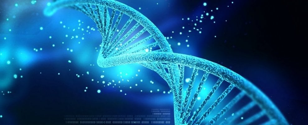 Ecco le principali scoperte della medicina nel 2017