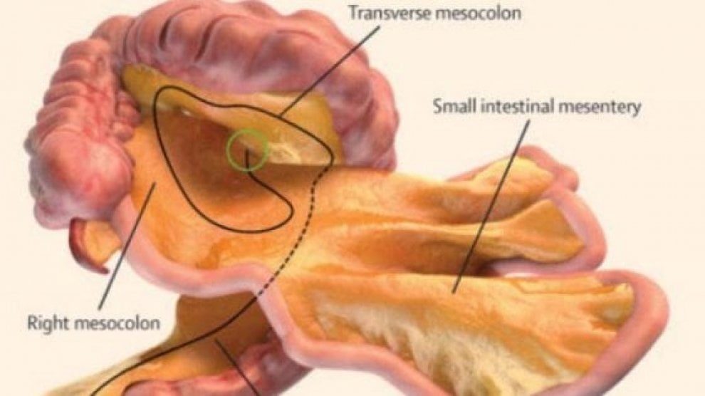 Ecco le principali scoperte della medicina nel 2017