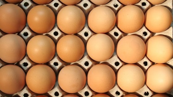 Ma l'uovo è meglio piccolo, medio o grande? 