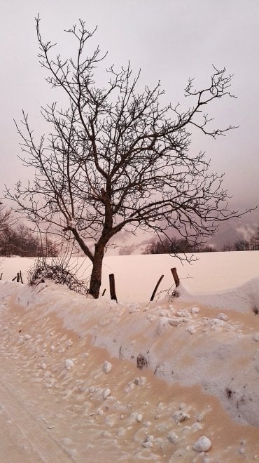 In Toscana la neve è rosa: lo spettacolo sugli Appennini 