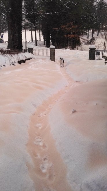 In Toscana la neve è rosa: lo spettacolo sugli Appennini 