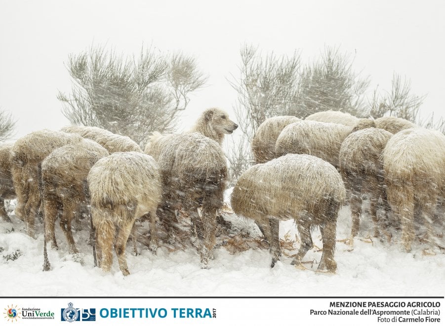 Obiettivo Terra e i tesori della natura: il concorso fotografico