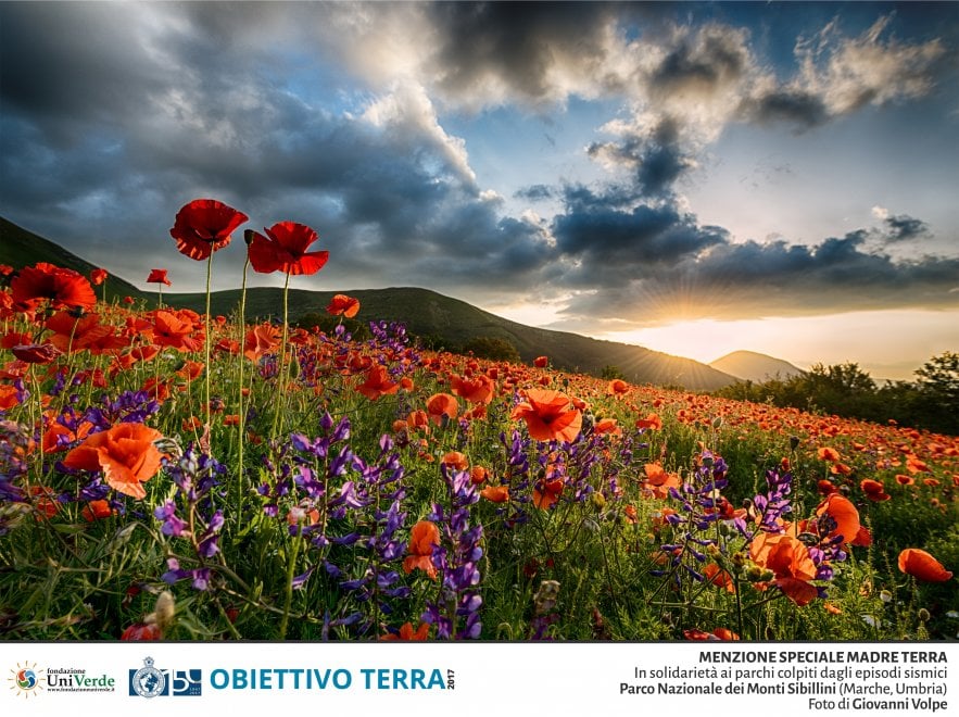 Obiettivo Terra e i tesori della natura: il concorso fotografico