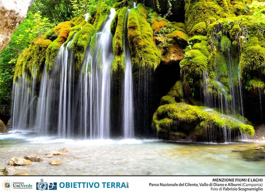 Obiettivo Terra e i tesori della natura: il concorso fotografico