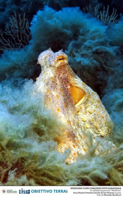 Obiettivo Terra e i tesori della natura: il concorso fotografico