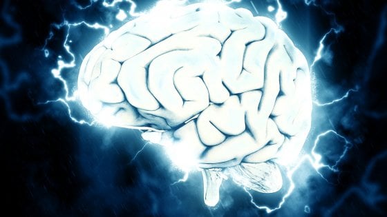 Il cervello diventa ‘adulto’ a 13 anni, quando smettono di nascere nuovi neuroni