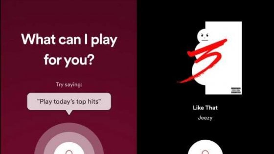 Spotify sperimenta la ricerca vocale dei brani
