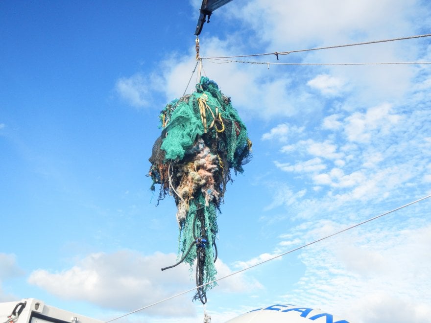 Pacifico: com'è grande l'isola di plastica