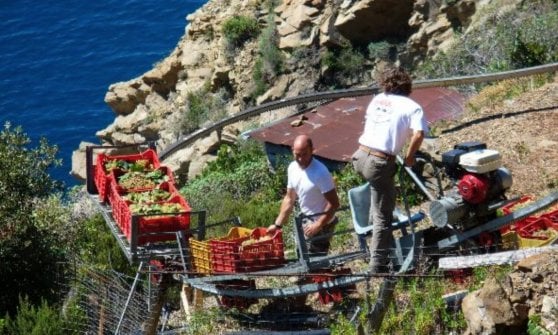 &nbsp;Azienda Litan, Liguria&nbsp;