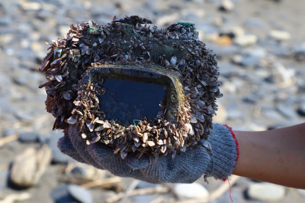 Taiwan, l'odissea della macchina fotografica persa in mare: trovata ancora carica dopo 3 anni