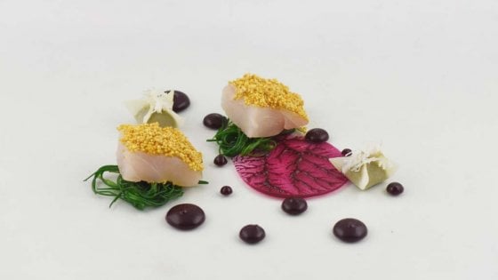San Pietro, quinoa soffiata, rapa rossa, acerola e agretti. Dal menu "Gli ingredienti della cucina"