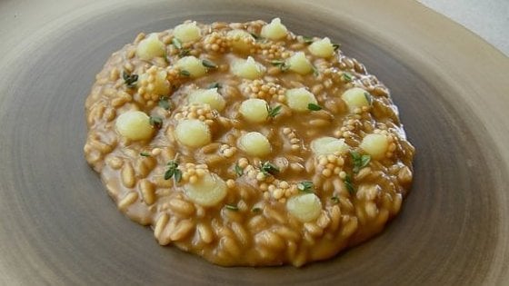 Risotto al bergamotto, carciofi e semi di senape fermentati