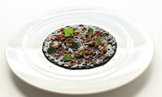 Risotto terra e terriccio