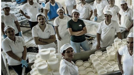 Il pecorino? Parte dalla Calabria e vola in prima classe 