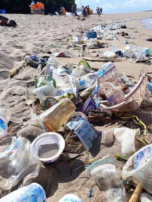 Wwf, sos tartarughe: salviamole dalla plastica