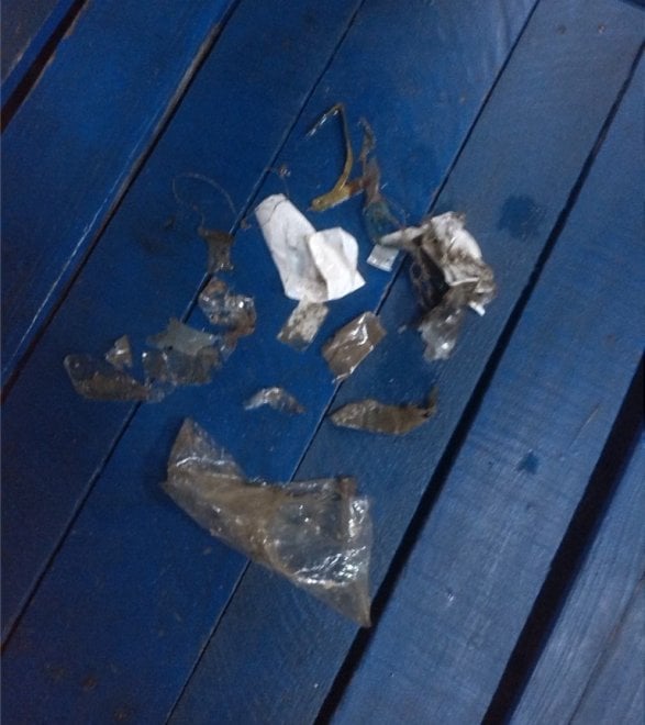 Wwf, sos tartarughe: salviamole dalla plastica