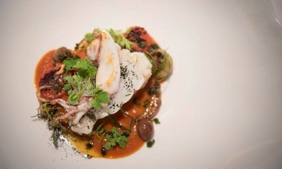 &nbsp;Rana Pescatrice e Calamaretti alla cacciatora
