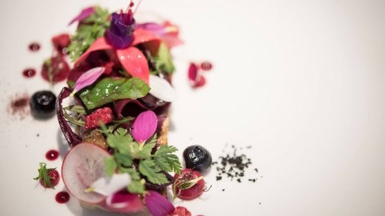 &nbsp;Sgombro bruciato in saor di insalata rossa