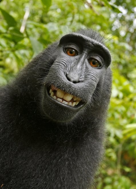 Giornata mondiale del selfie, quando un autoscatto diventa di tendenza