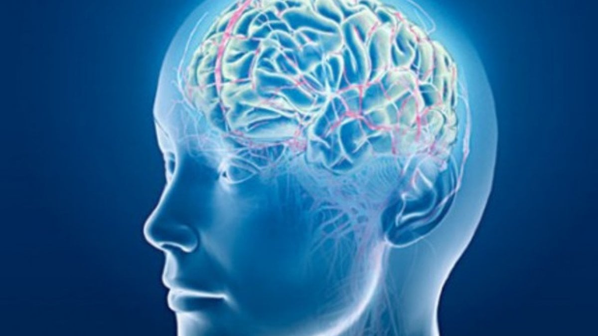 Trauma cranico, scoperto il meccanismo che porta a demenza - la Repubblica
