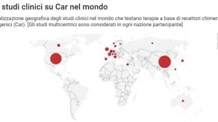 <a href="https://puntoitalia.online/dossier/salute/geni-contro-il-cancro/2018/08/31/news/nel_futuro_di_car-t-205330311/" class="Articolo">Le CAR-T che verranno</a>