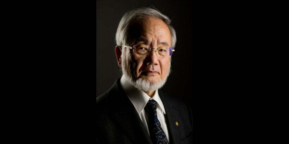 Quindici anni di Premio Nobel per la medicina e fisiologia 