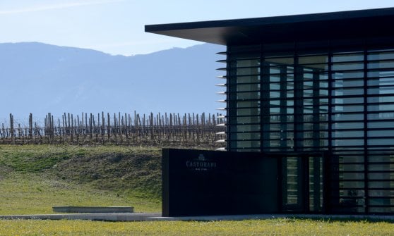 Una veduta della cantina