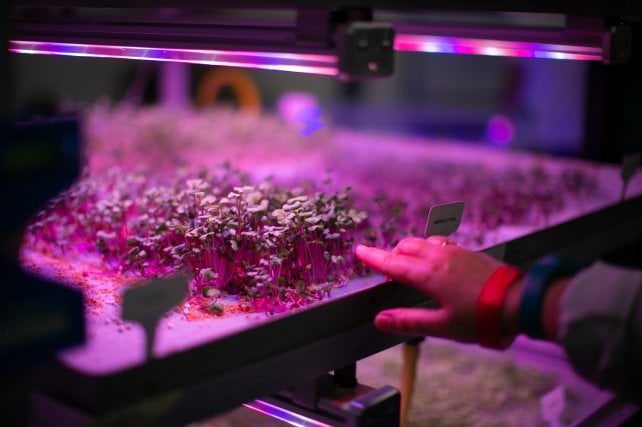 Maker faire food: il cibo del futuro è qui 