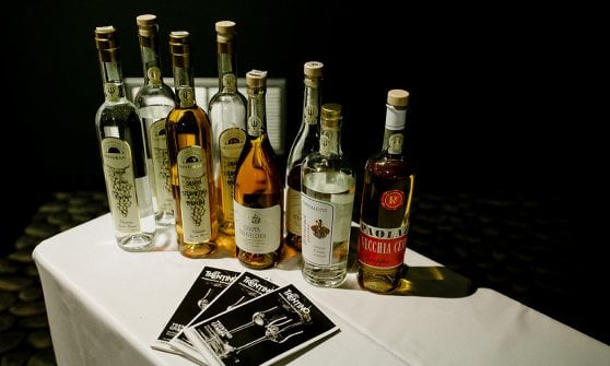 &nbsp;Il Trentino, tra le regioni coinvolte, la scorsa edizione ha presentato alcuni Stravecchio di grappa&nbsp;