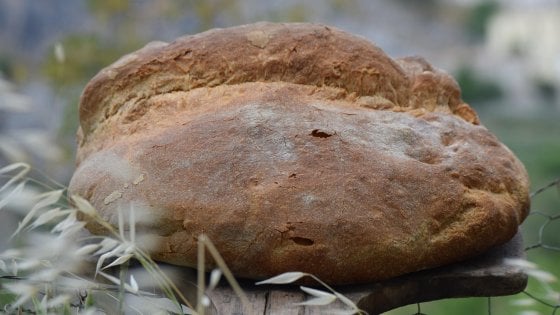 &nbsp;Pane di Cerchiara, panificio Mauro