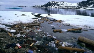 Il giorno pi&ugrave; lungo alle Svalbard, alla ricerca dell'anatra d'oro