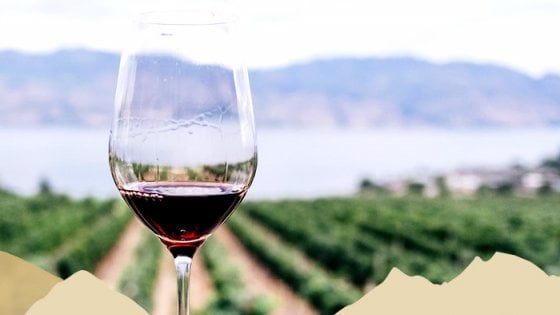 &nbsp;Non solo vino a The Circle&nbsp;