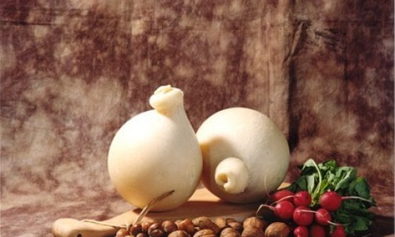 &nbsp;Caciocavallo Azienda Posticchia Sabelli