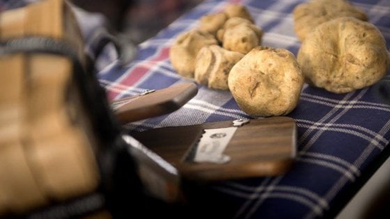 La valle &egrave; famosa anche per i tartufi. (foto Urbani Tartufi, Facebook)